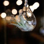 探索澳门不夜城老品牌网址,感受独特的夜生活魅力 x8i1ytnqf4