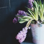 探索皇家平台的独特魅力与多样化服务体验 y8mkcmjiy